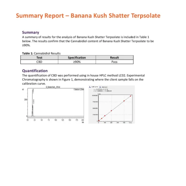 Second image of Canevolve 900mg CBD Shatter 1g